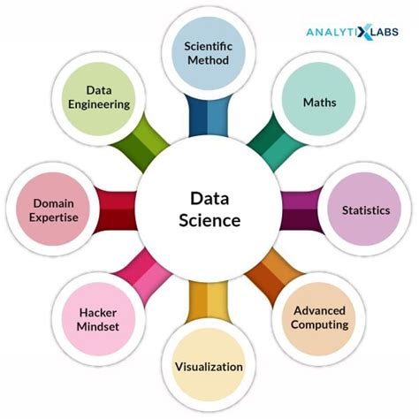 Understanding the Role of